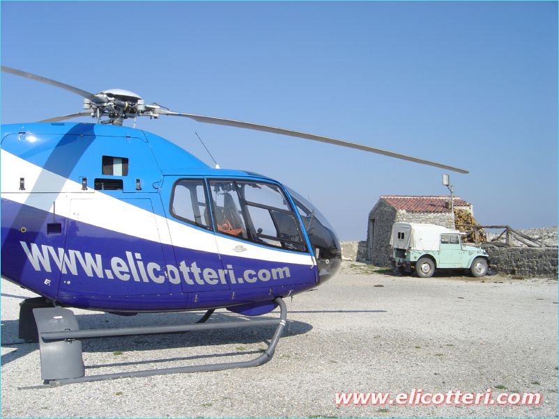 elifoto (174)